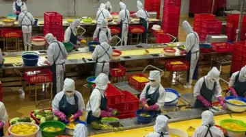 حققت الصادرات الزراعية في الربع الأول من عام 2026 ما قيمته 16.69 مليار دولار أمريكي، مع إعطاء الأولوية لتعزيز القيمة على حساب الحجم.